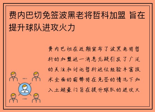 费内巴切免签波黑老将哲科加盟 旨在提升球队进攻火力