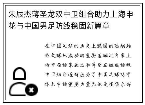 朱辰杰蒋圣龙双中卫组合助力上海申花与中国男足防线稳固新篇章